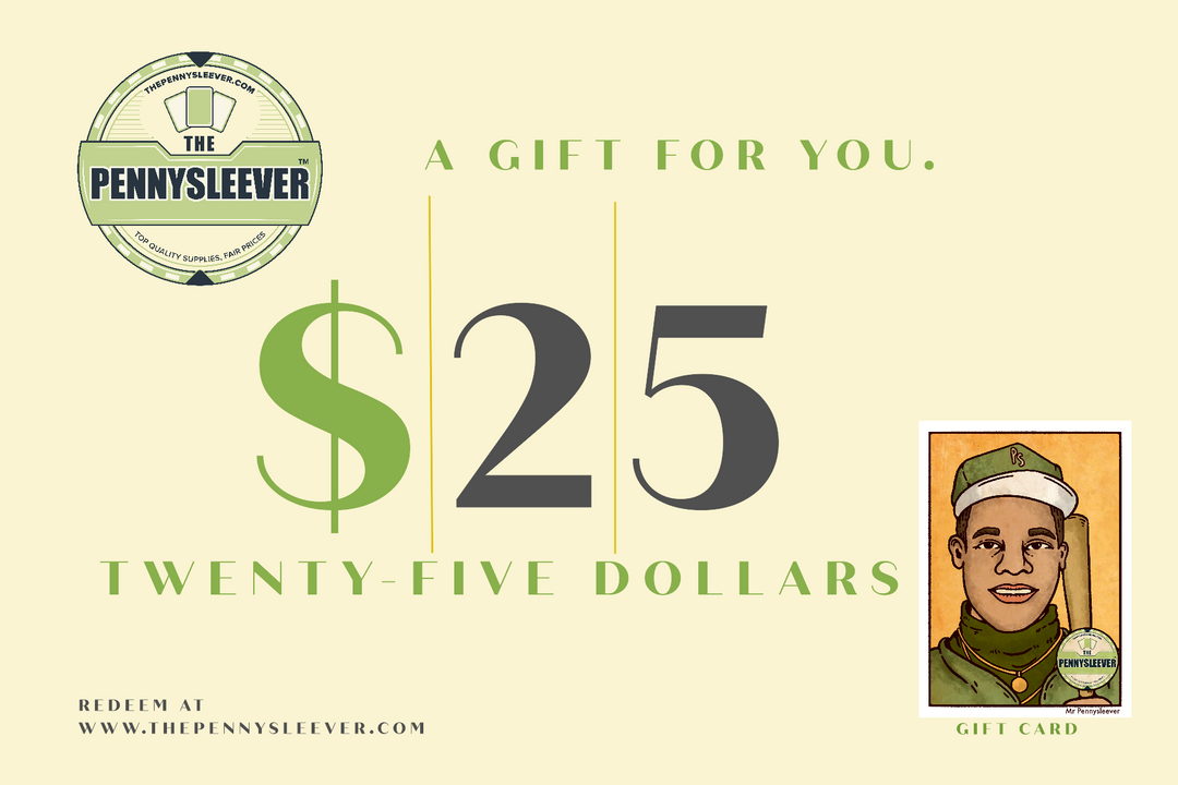 A 25 dollar gift card from The Pennysleever.