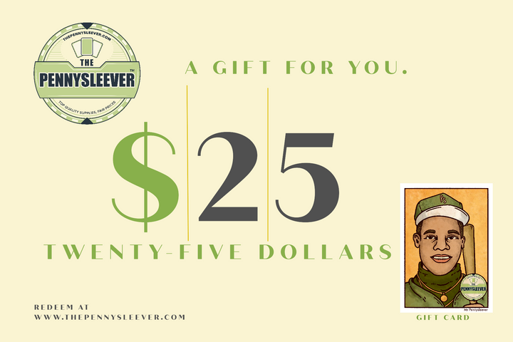 A 25 dollar gift card from The Pennysleever.