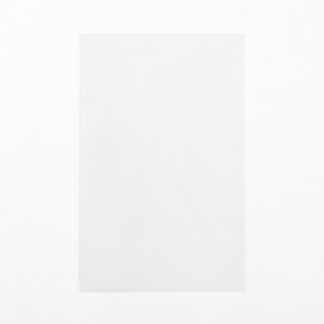 Postcard Sized Sleeves (100 count)