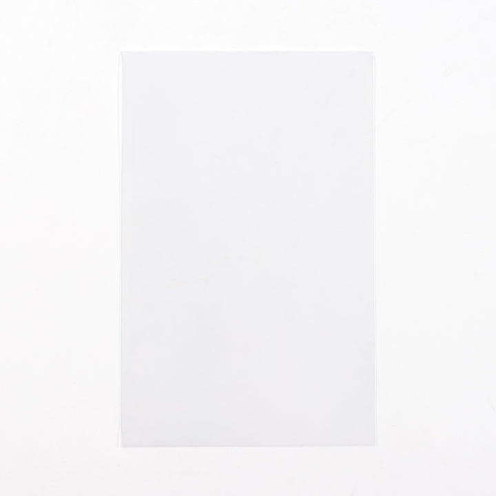 Postcard Sized Sleeves (100 count)