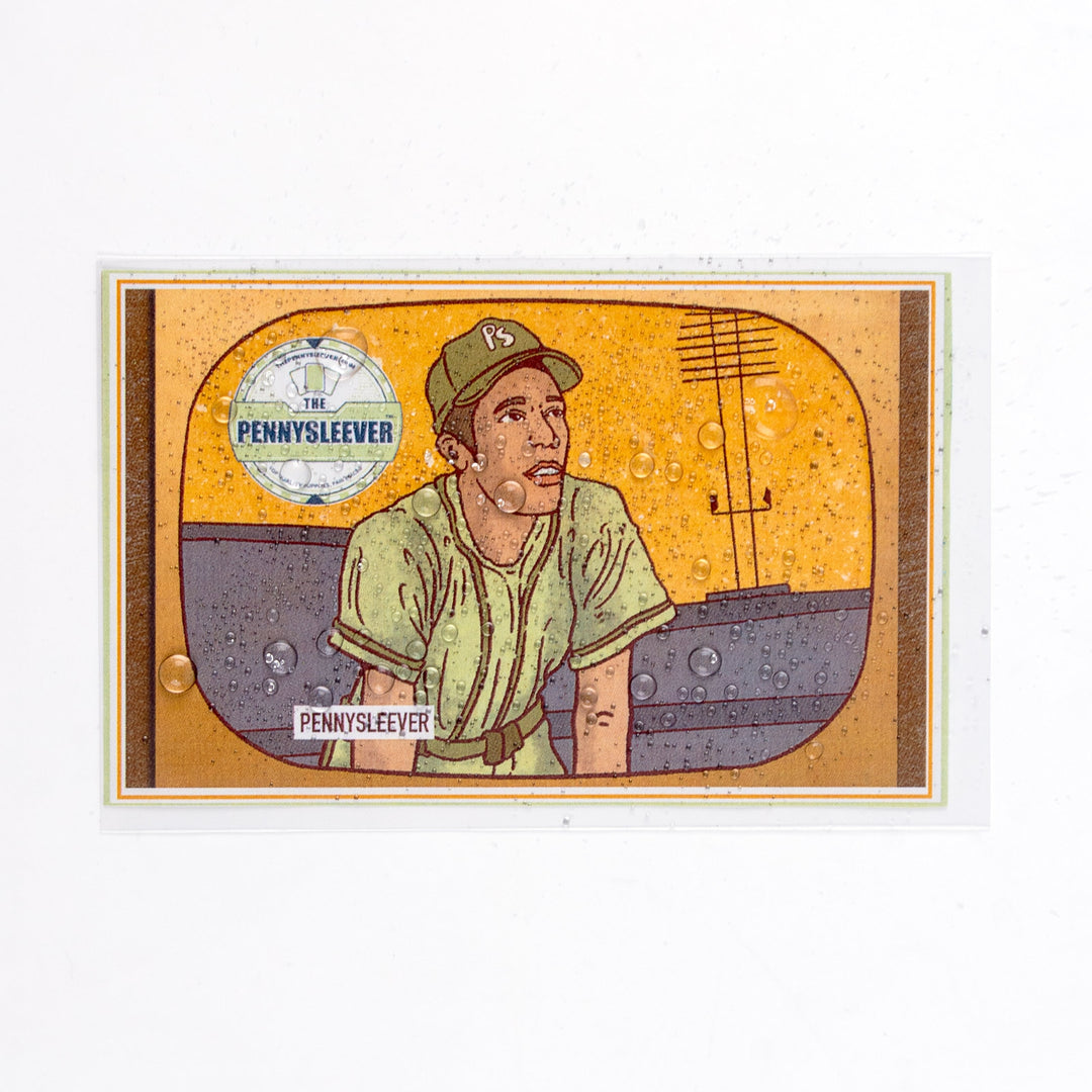 Postcard Sized Sleeves (100 count)