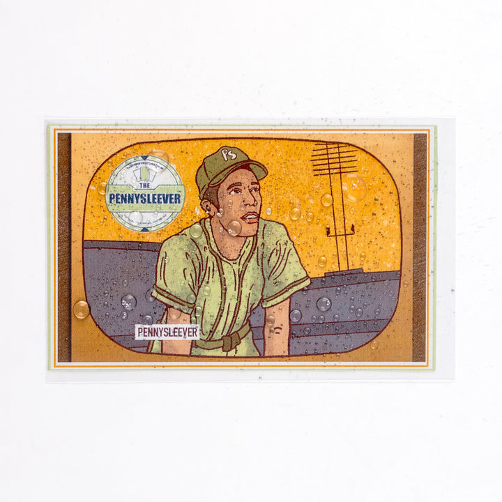 Postcard Sized Sleeves (100 count)