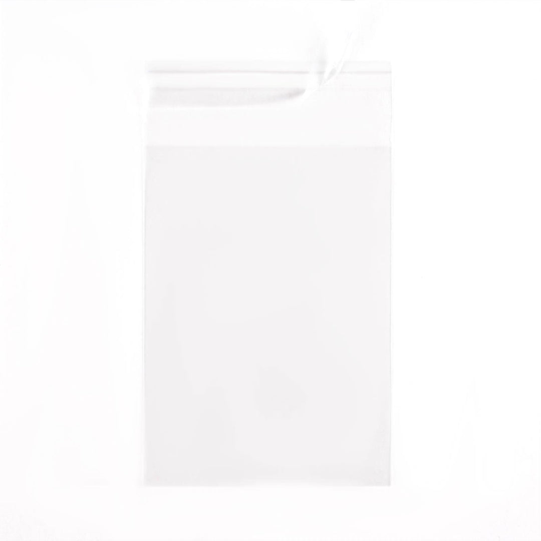 Resealable Bags for Magnetic Card Holders (100 count)