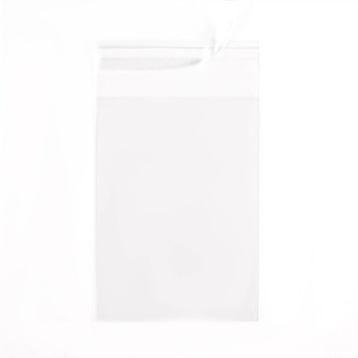 Resealable Bags for Magnetic Card Holders (100 count)